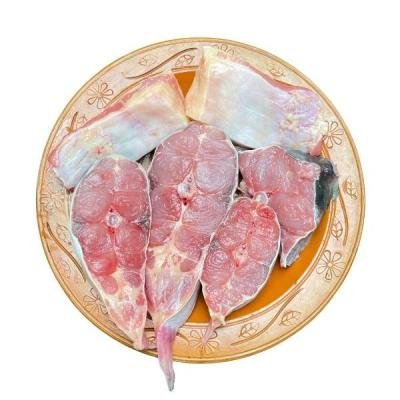 নদীর বড় পাঙ্গাশ মাছের ভাগা